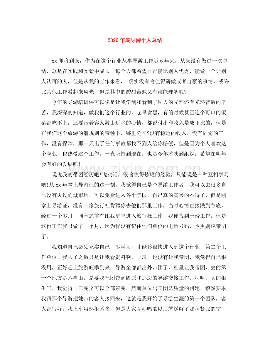 2020年底导游个人总结.docx_第1页