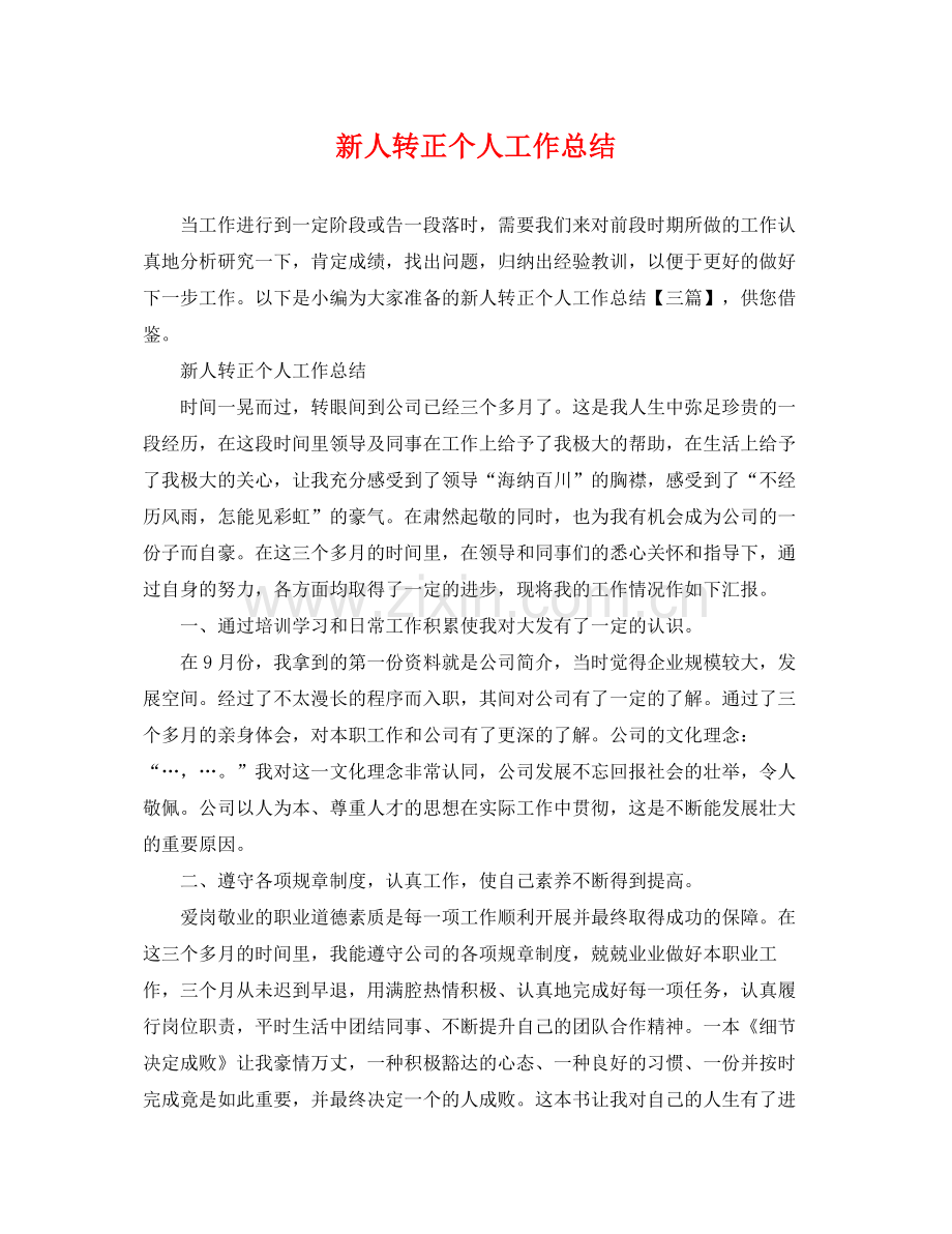 新人转正个人工作总结 .docx_第1页
