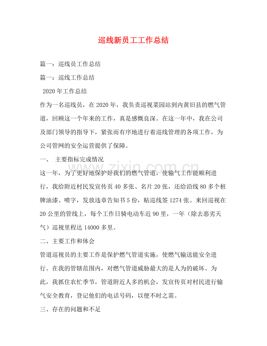 巡线新员工工作总结.docx_第1页