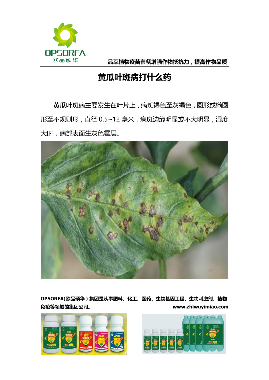 黄瓜叶斑病打什么药.docx_第1页