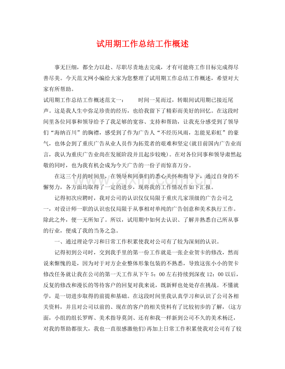 试用期工作总结工作概述 .docx_第1页