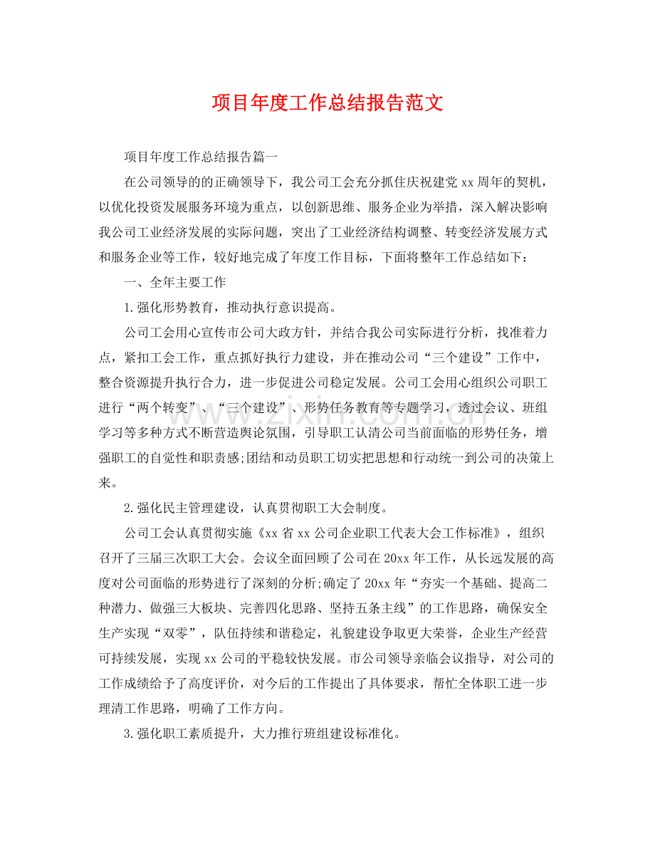 项目年度工作总结报告范文 .docx_第1页
