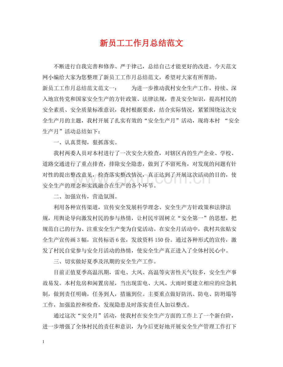 新员工工作月总结范文.docx_第1页
