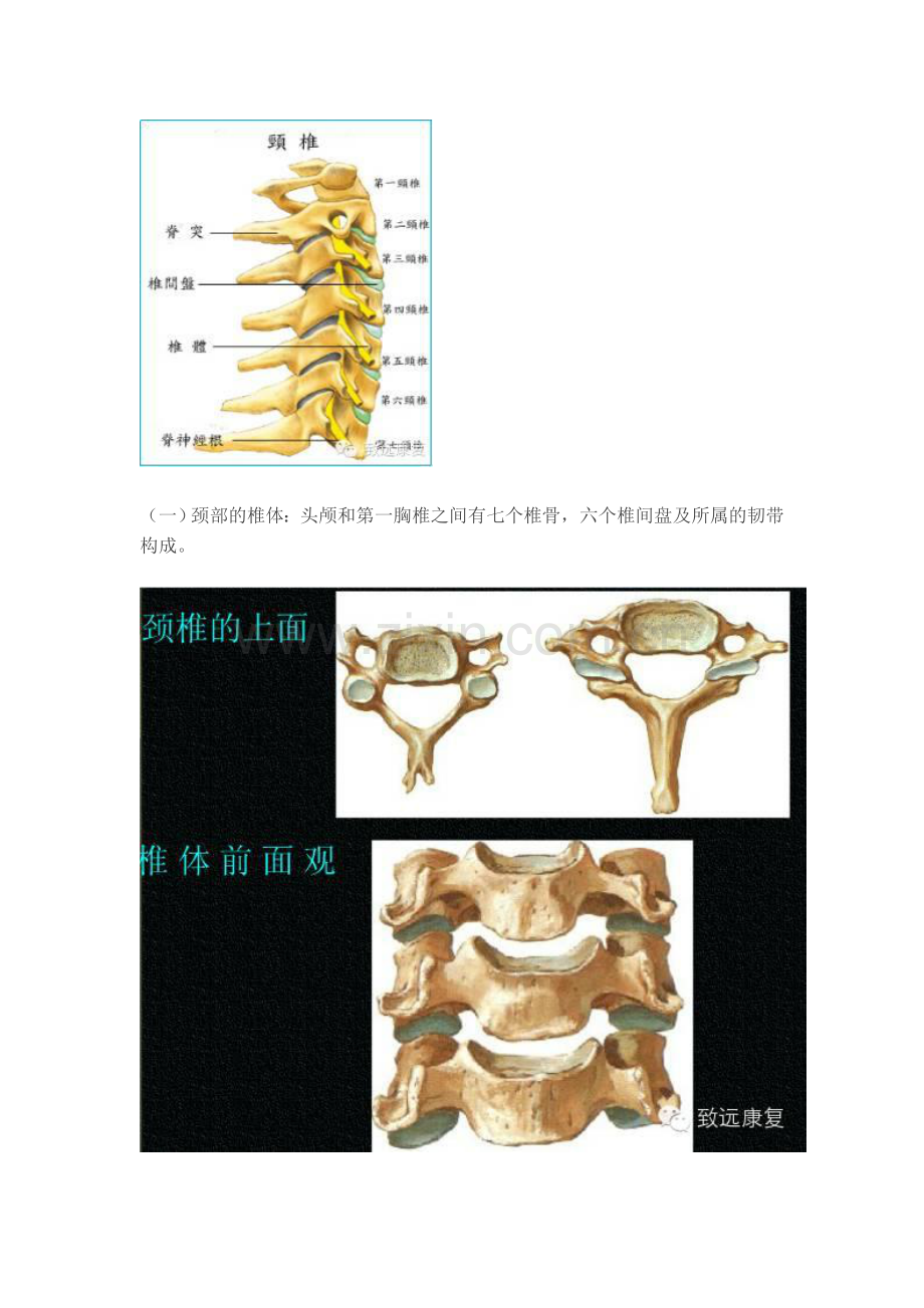 带你全面认识颈椎病.doc_第2页