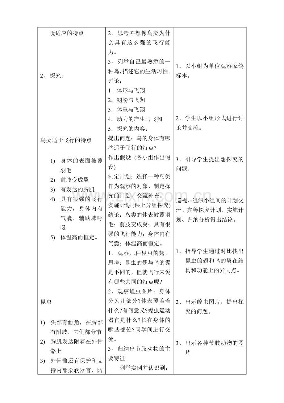 八年级生物空中飞行的动物新人教版.doc_第2页