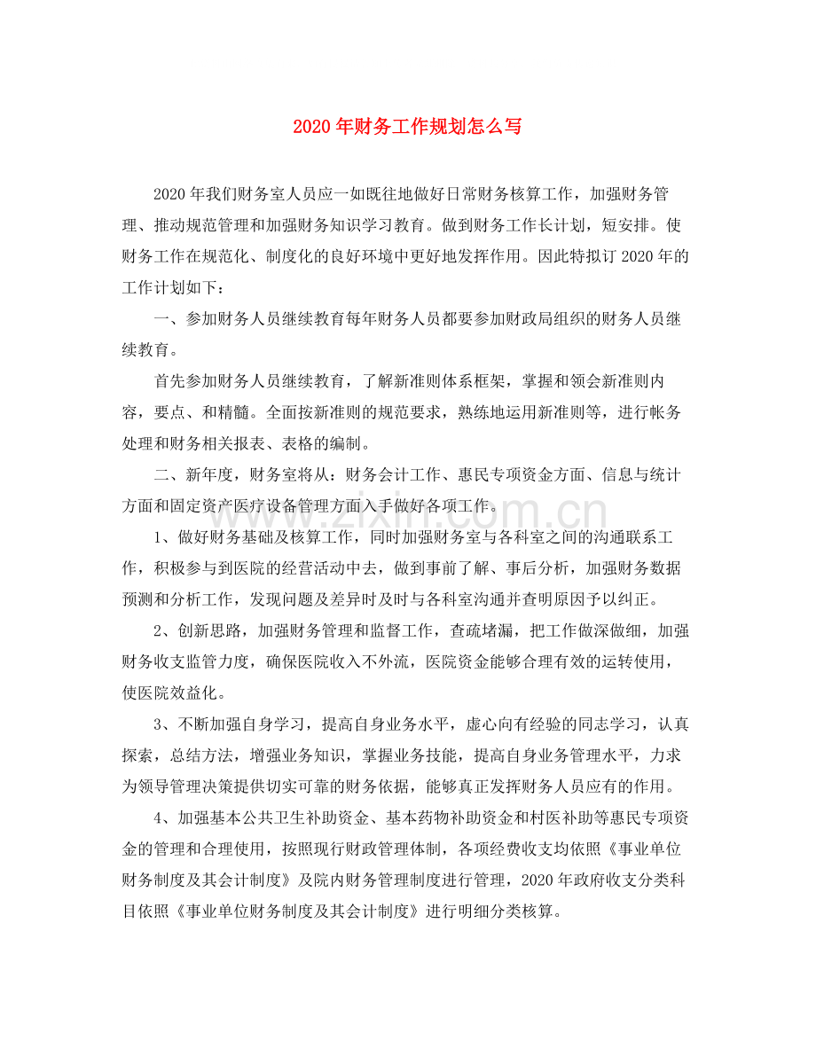 2020年财务工作规划怎么写.docx_第1页