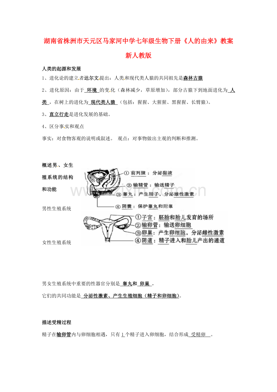 湖南省株洲市天元区马家河中学七年级生物下册《人的由来》教案 新人教版.doc_第1页