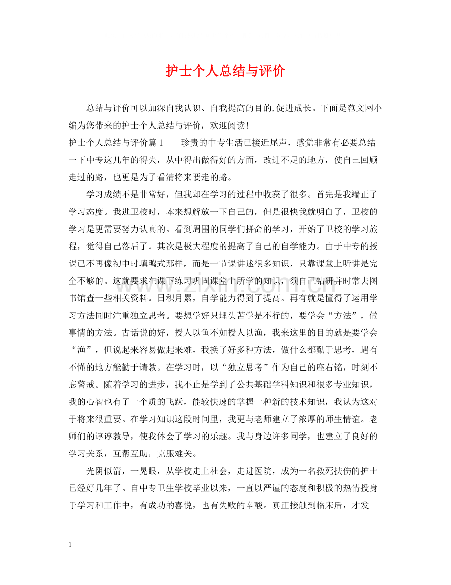 护士个人总结与评价.docx_第1页