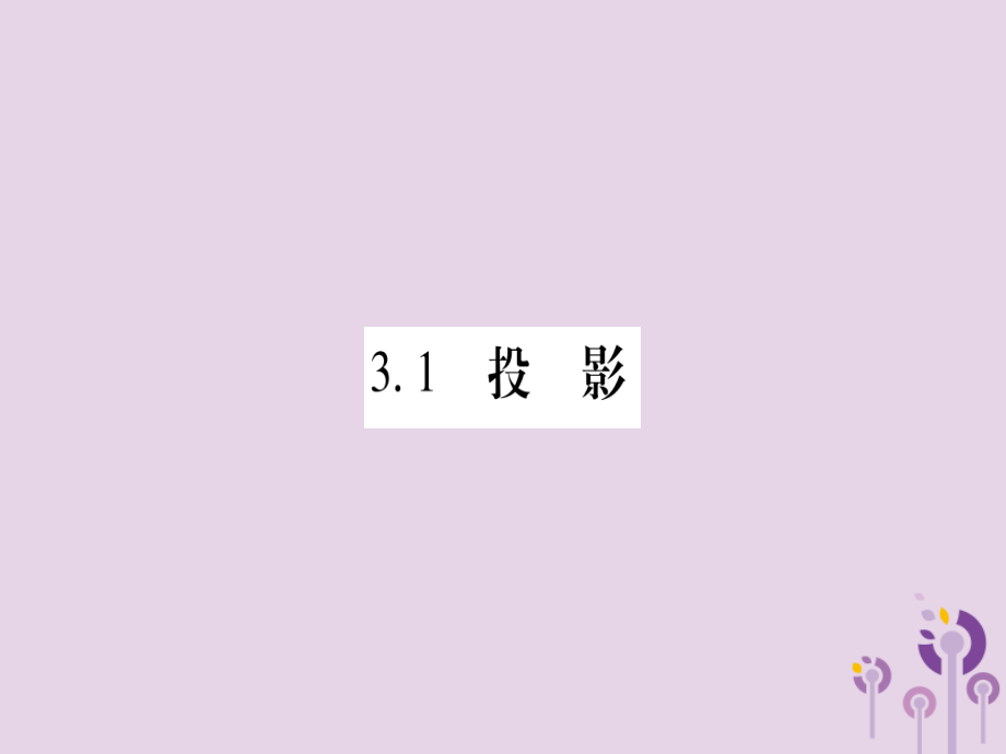 广西九年级数学下册 第3章 投影与视图 3.1 投影作业课件 (新版)湘教版 课件.ppt_第2页