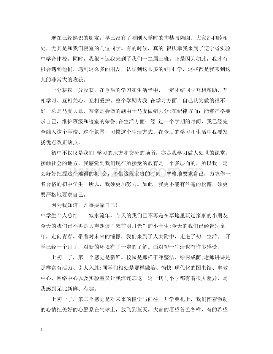 生个人总结.docx_第2页