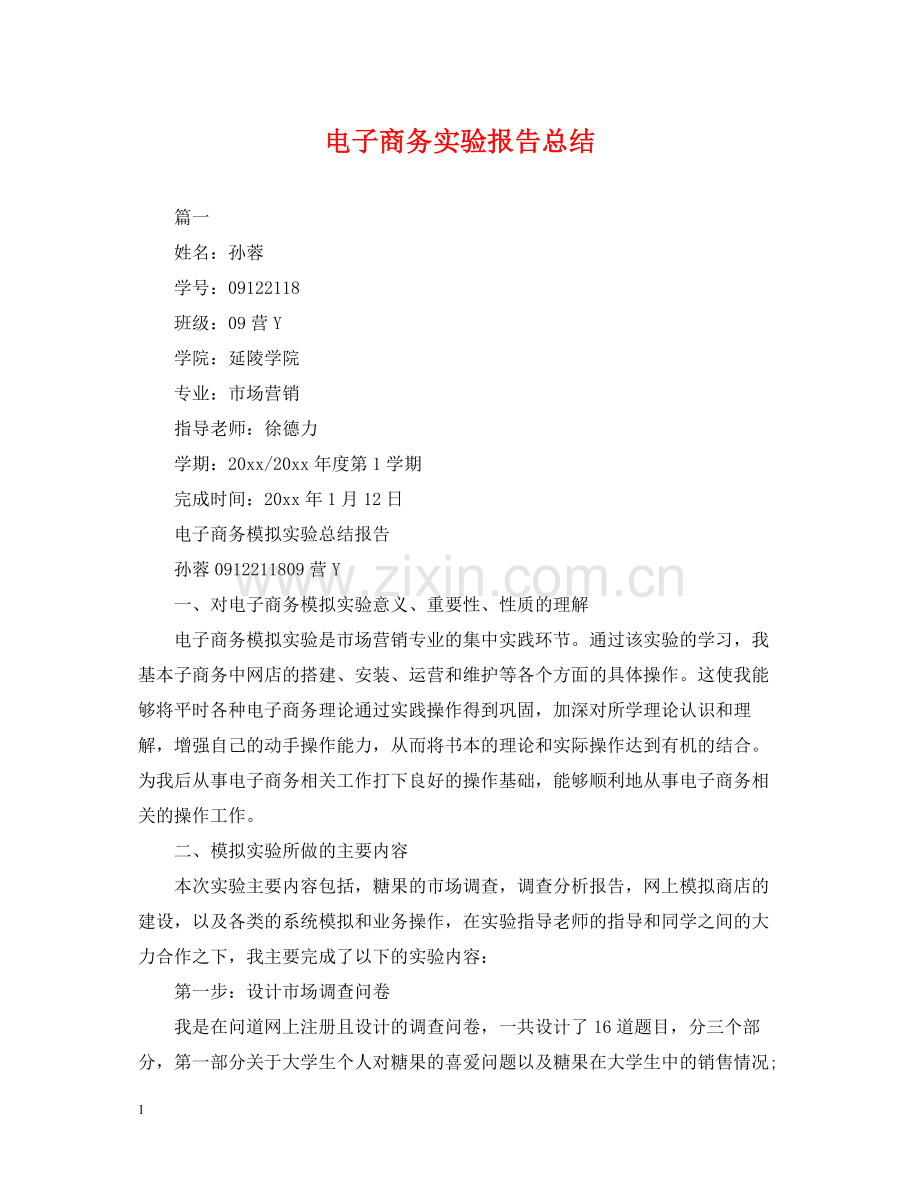 电子商务实验报告总结.docx_第1页