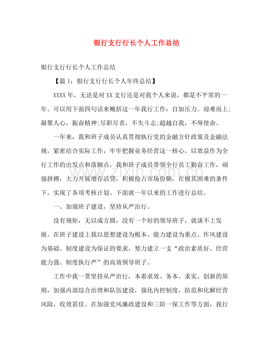 银行支行行长个人工作总结 .docx_第1页