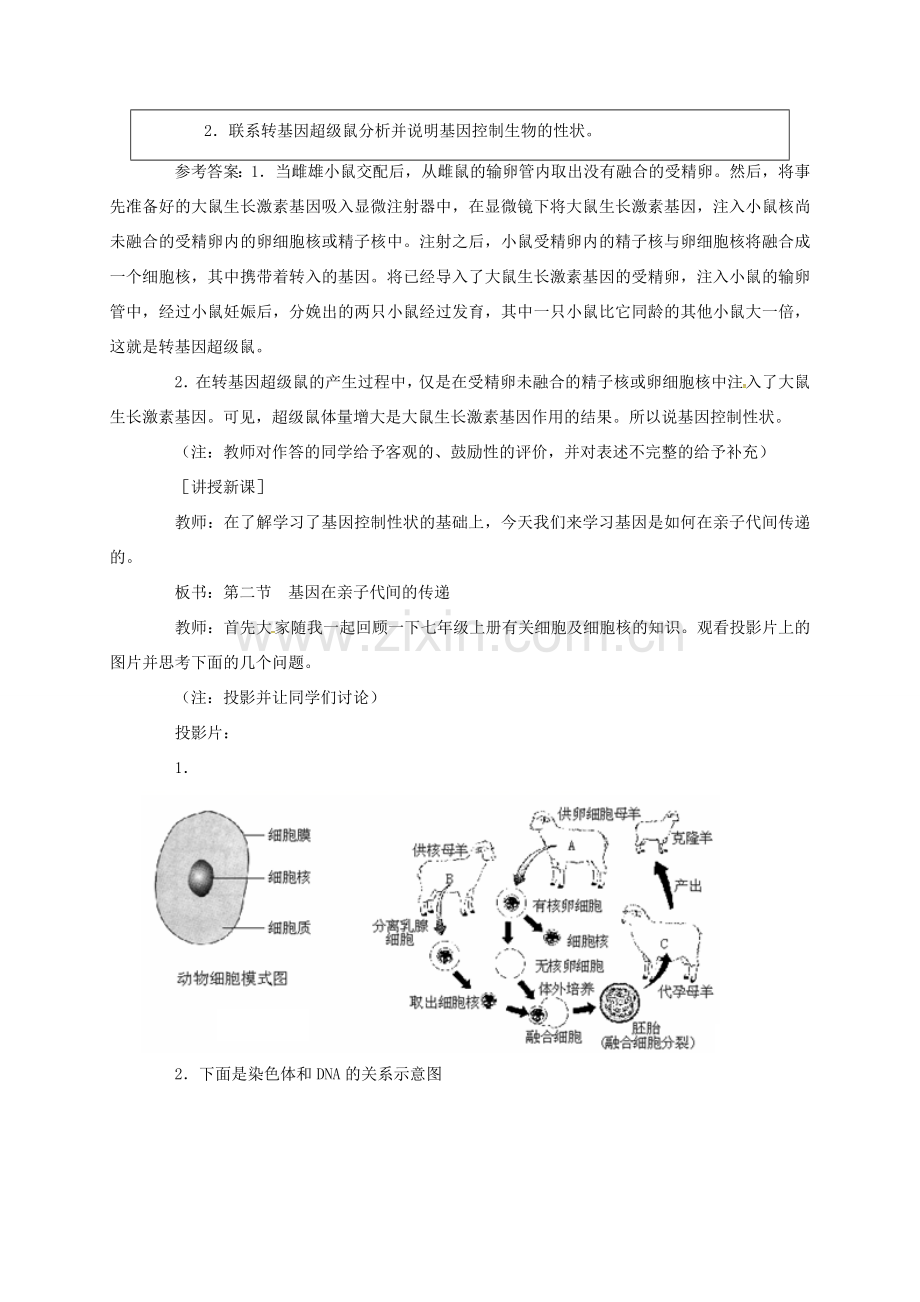 八年级生物下册 7.2.2基因在亲子代间的传递教案2 （新版）新人教版-（新版）新人教版初中八年级下册生物教案.doc_第2页