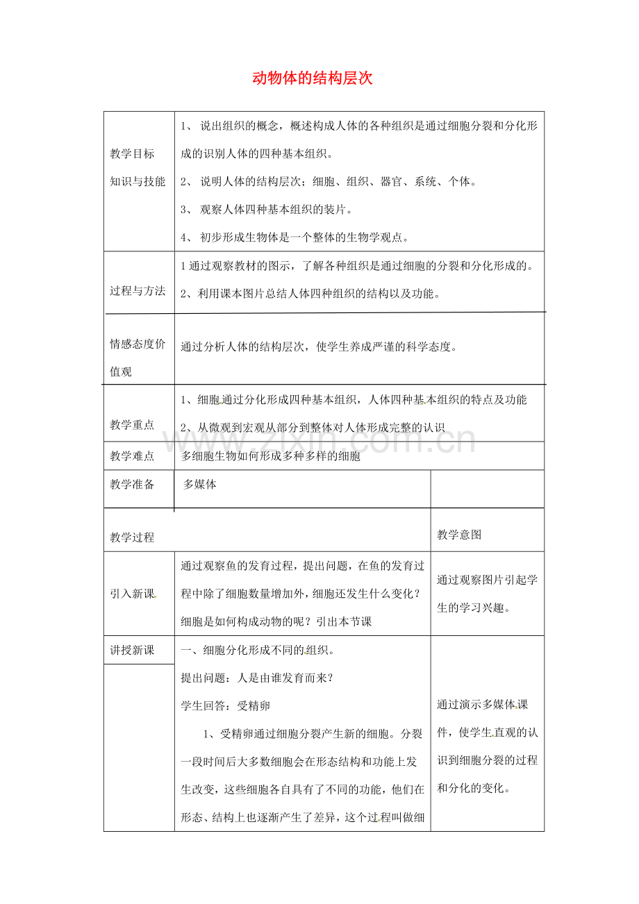 安徽省合肥市长丰县七年级生物上册 2.2.2《动物体的结构层次》教案3 （新版）新人教版-（新版）新人教版初中七年级上册生物教案.doc_第1页