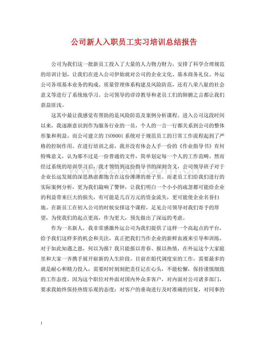 公司新人入职员工实习培训总结报告.docx_第1页