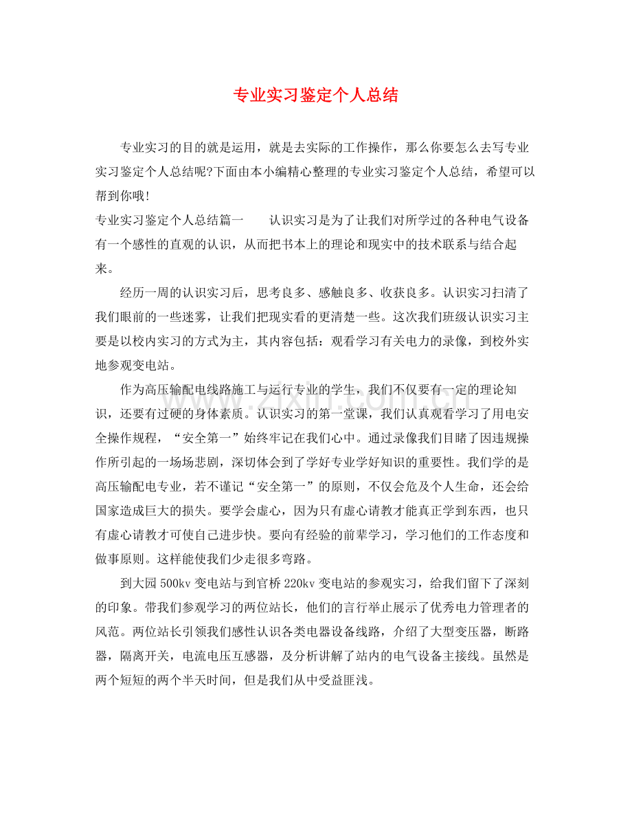 专业实习鉴定个人总结.docx_第1页