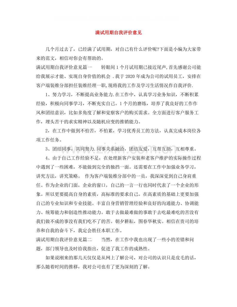 满试用期自我评价意见.docx_第1页