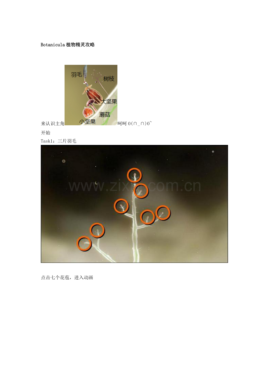 Botanicula植物精灵攻略.doc_第1页