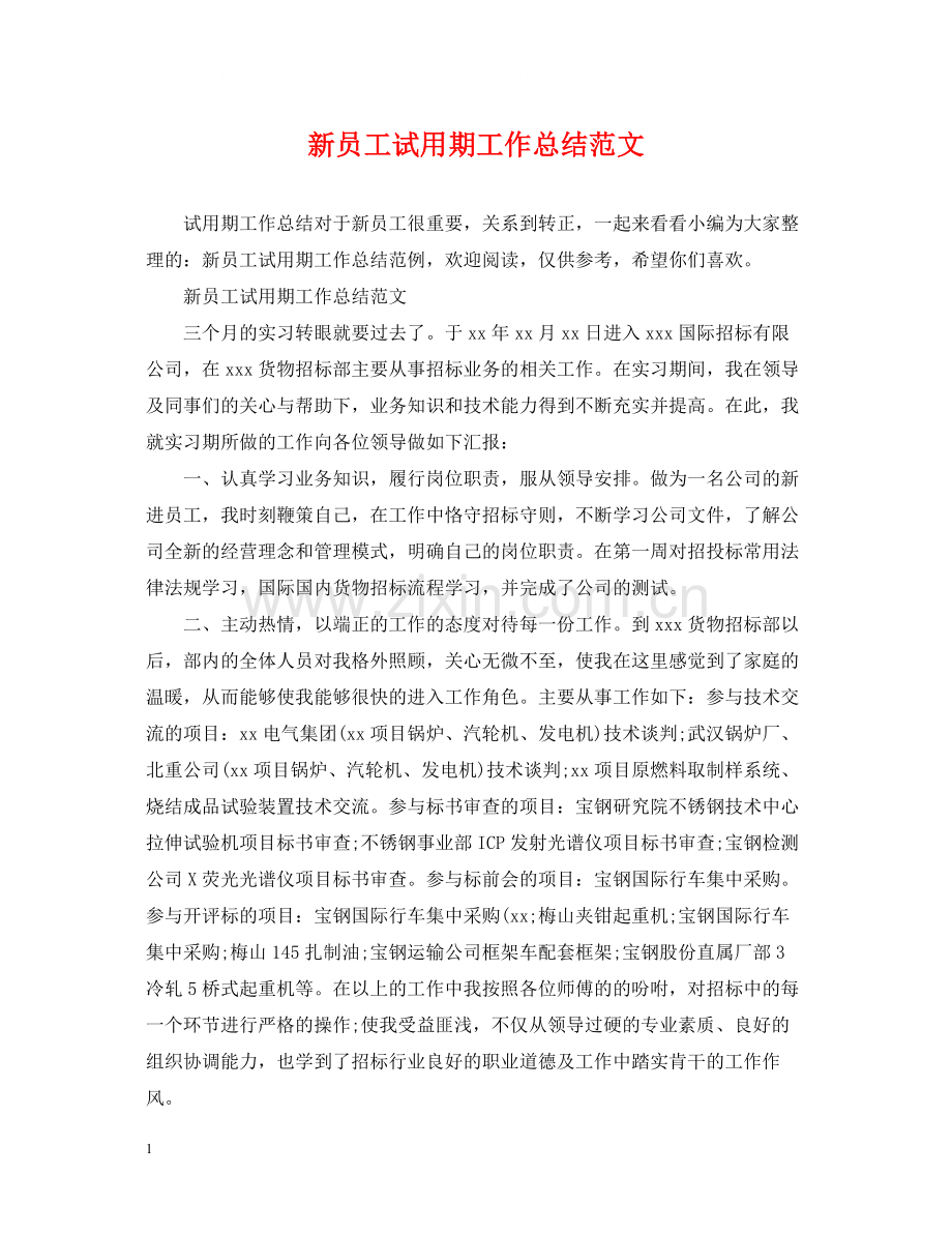 新员工试用期工作总结范文2.docx_第1页