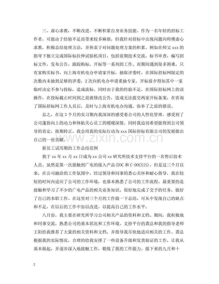 新员工试用期工作总结范文2.docx_第2页