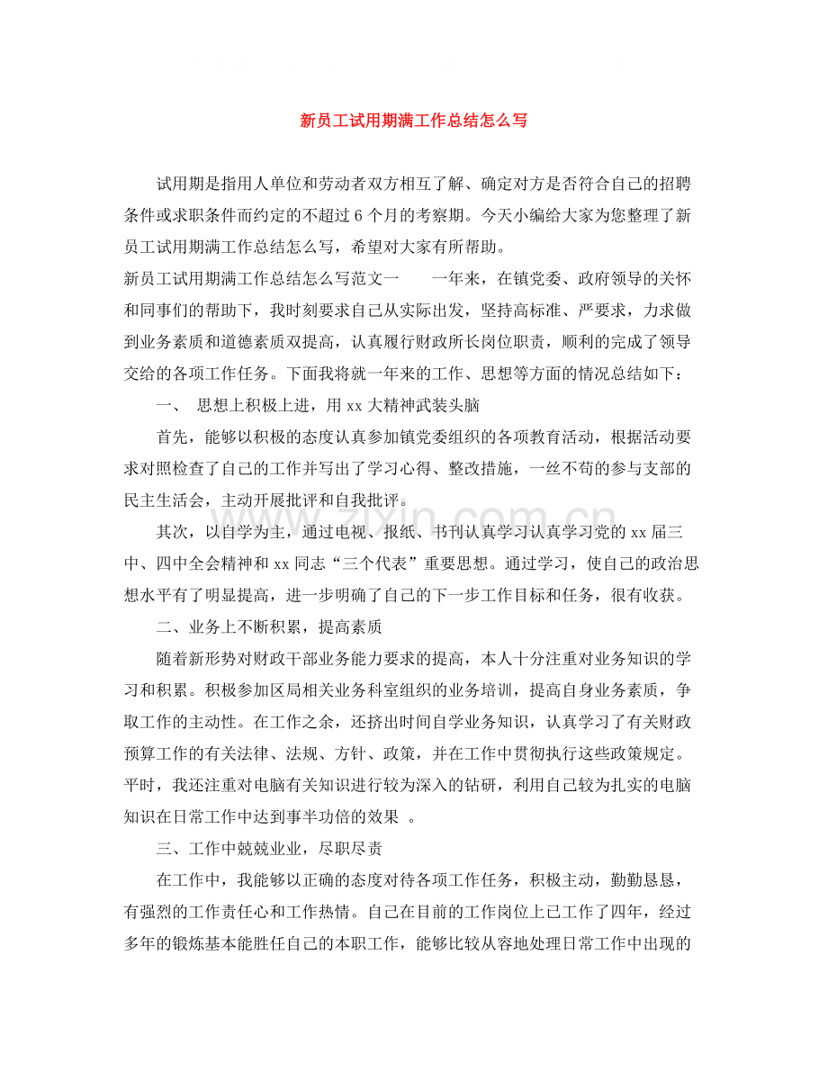 新员工试用期满工作总结怎么写.docx_第1页