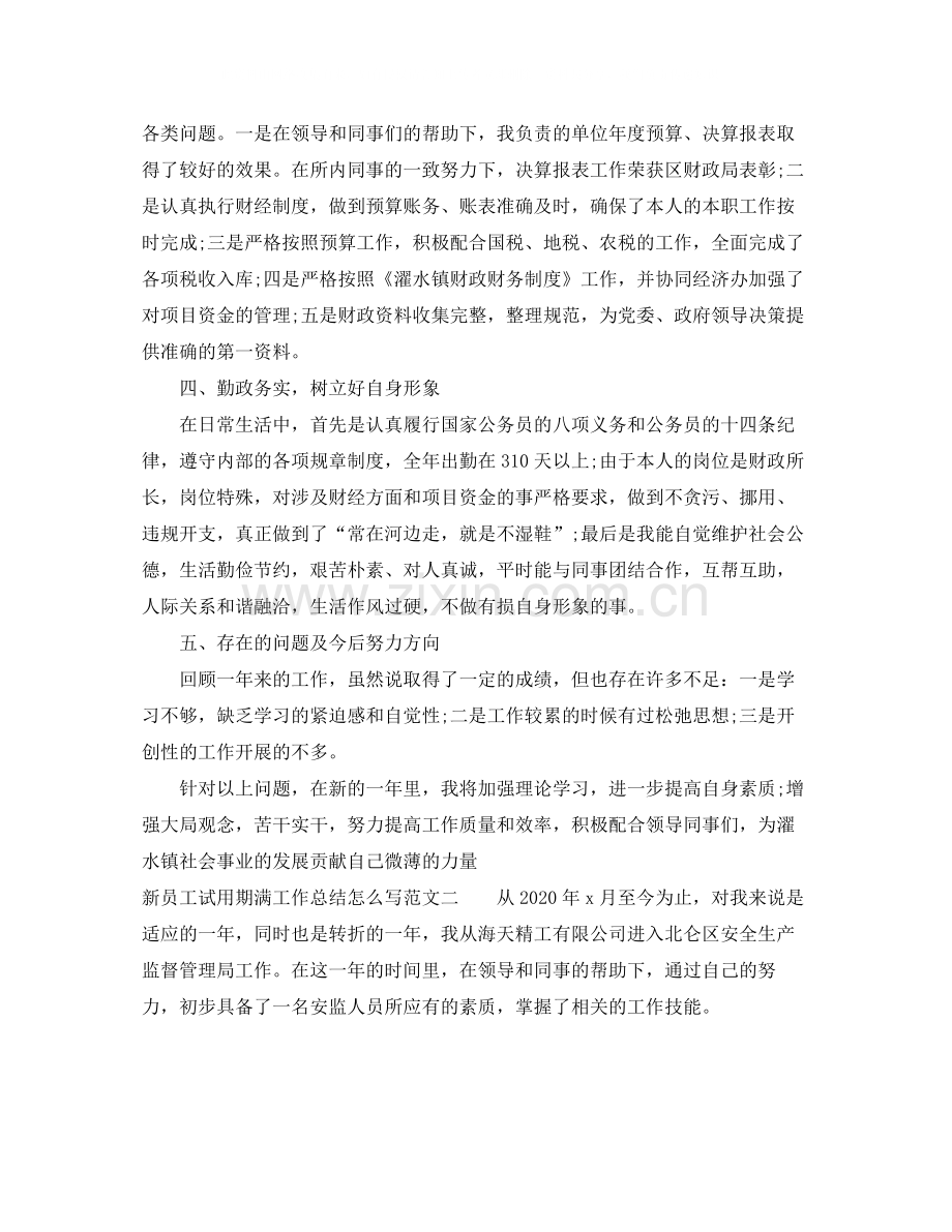 新员工试用期满工作总结怎么写.docx_第2页