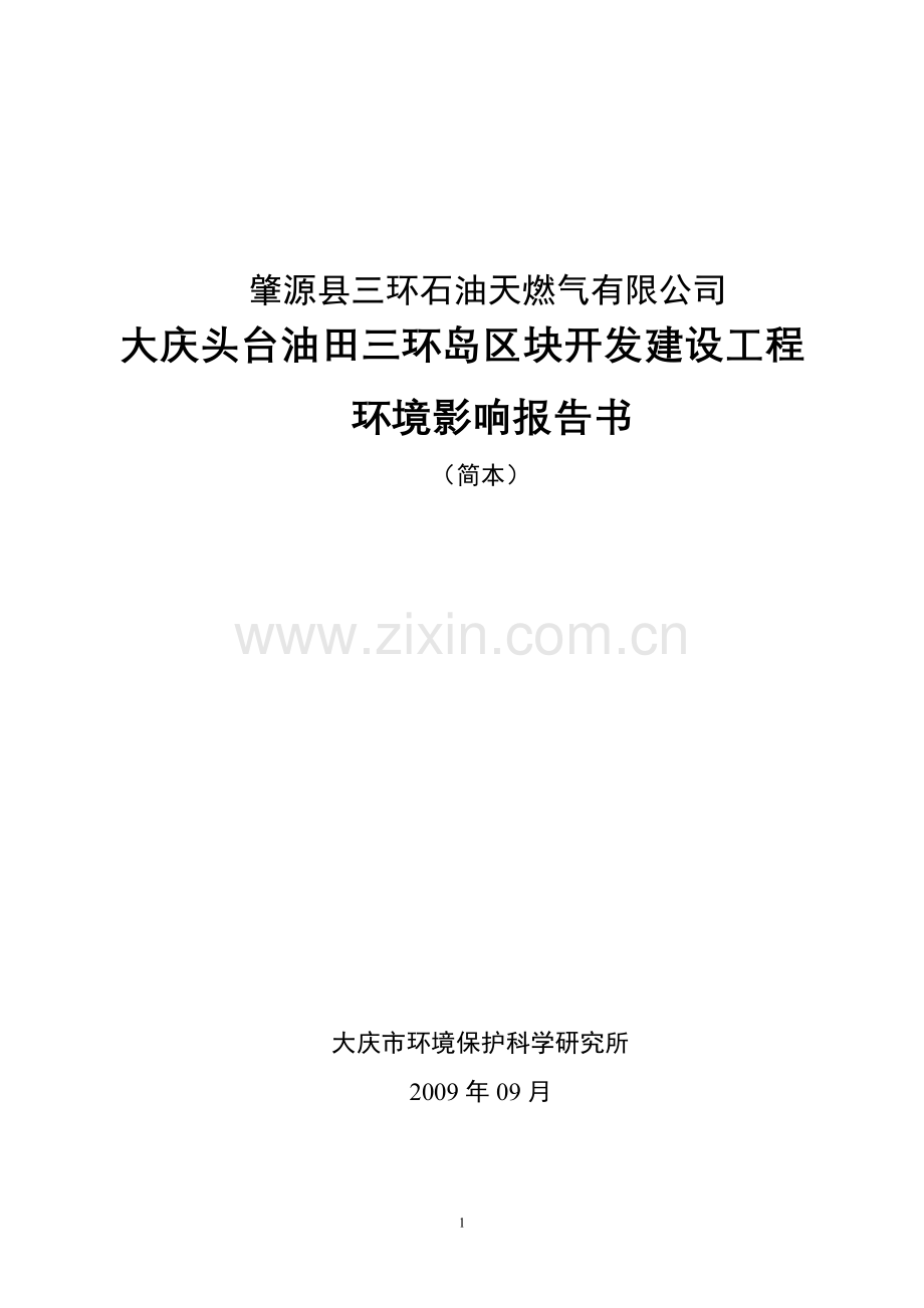 肇源县三环石油天燃气有限公司.doc_第1页