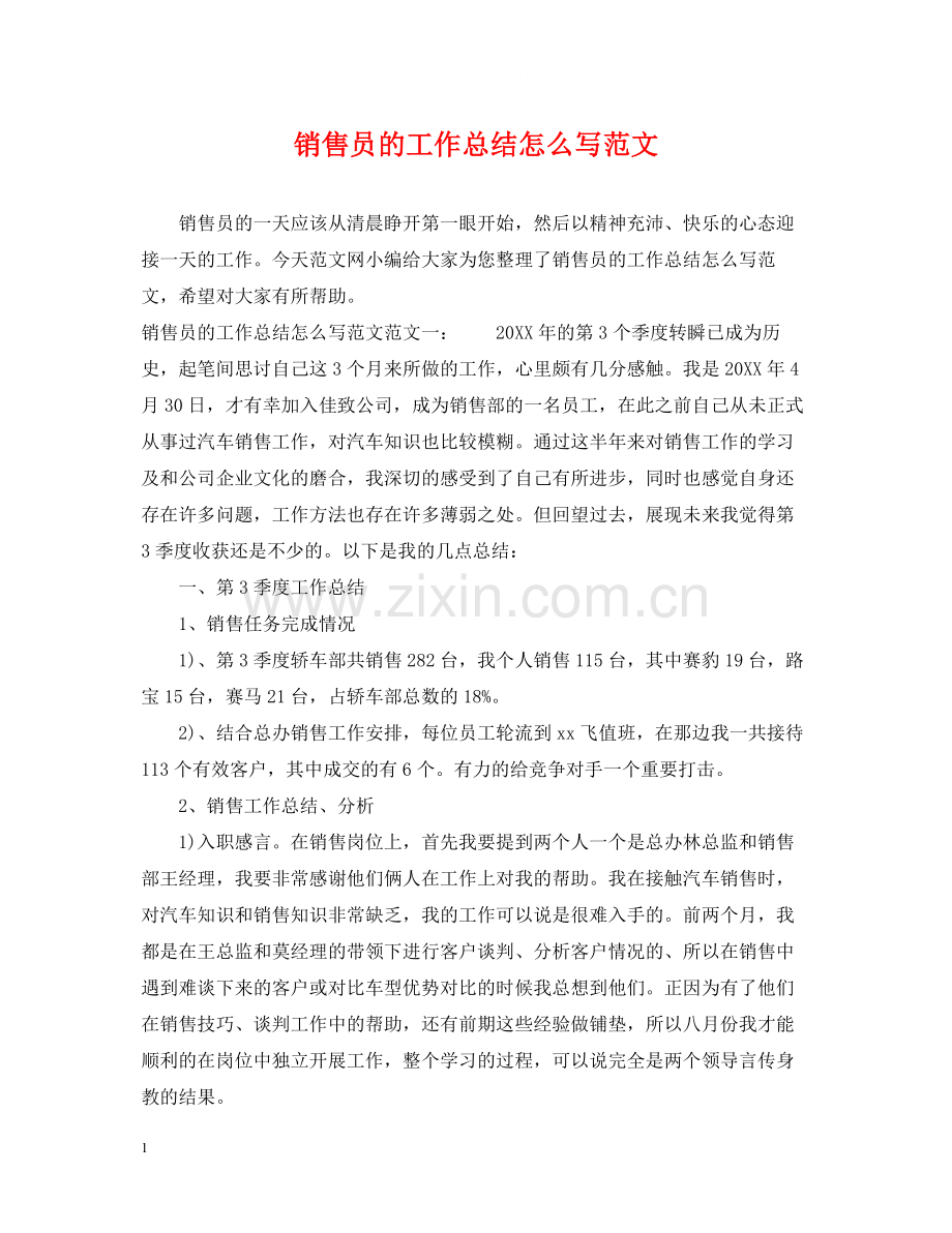 销售员的工作总结怎么写范文.docx_第1页