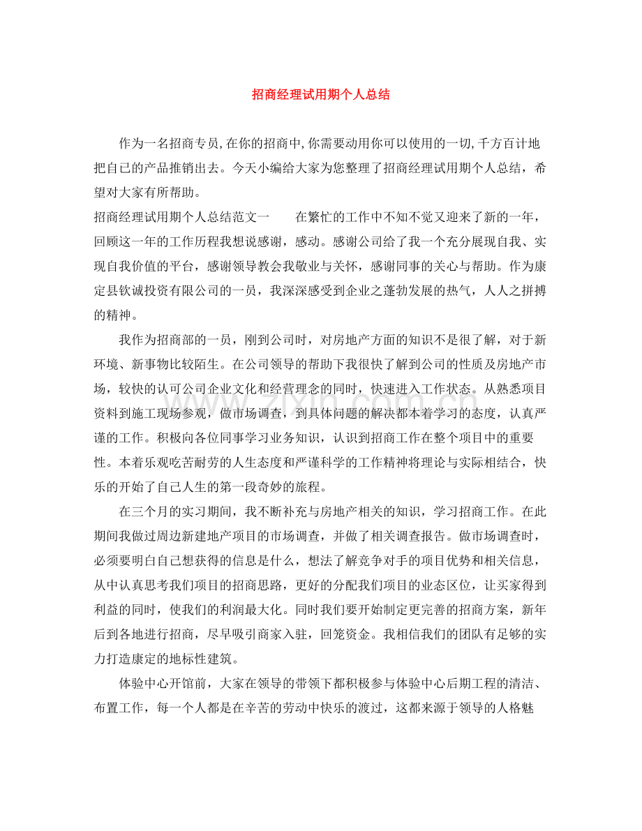 招商经理试用期个人总结.docx_第1页