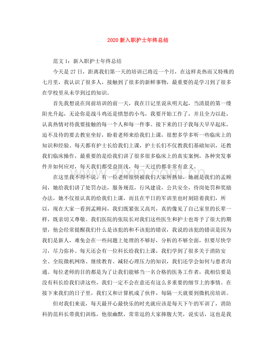 新入职护士年终总结.docx_第1页
