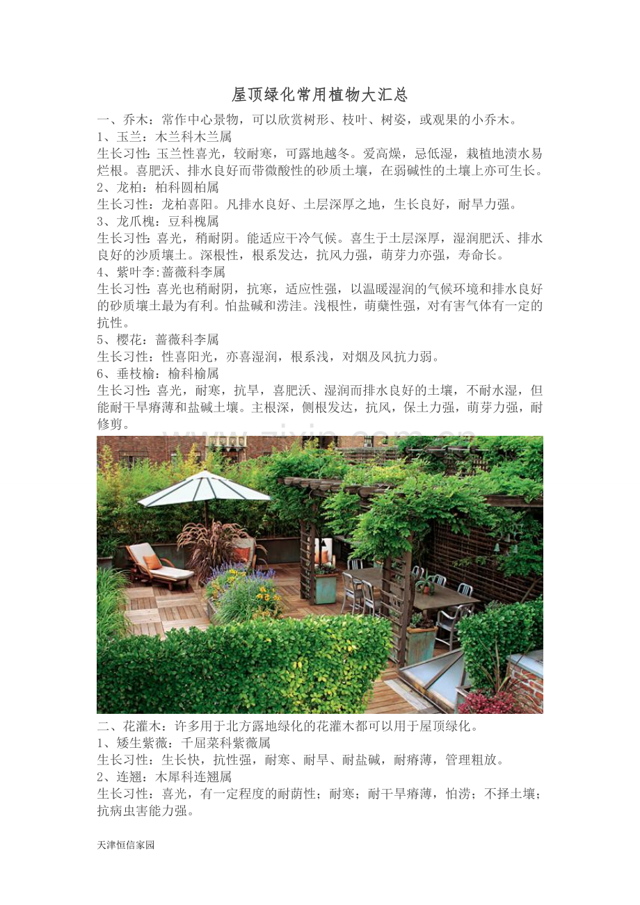 屋顶绿化常用植物大汇总.doc_第1页