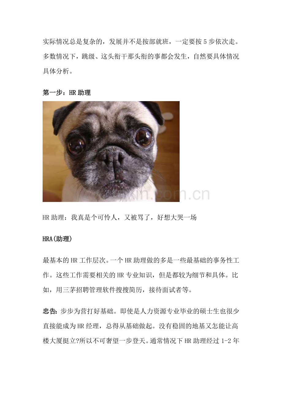 HR职业发展的两个方向.docx_第2页
