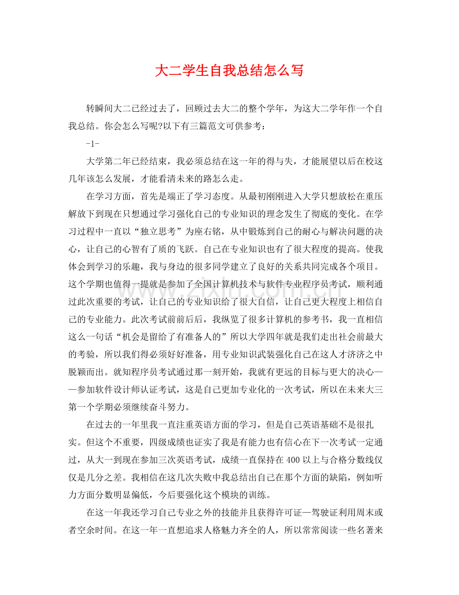 大二学生自我总结怎么写 .docx_第1页