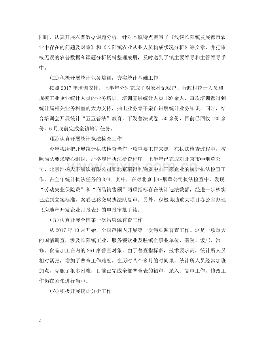 乡镇统计个人总结范文.docx_第2页