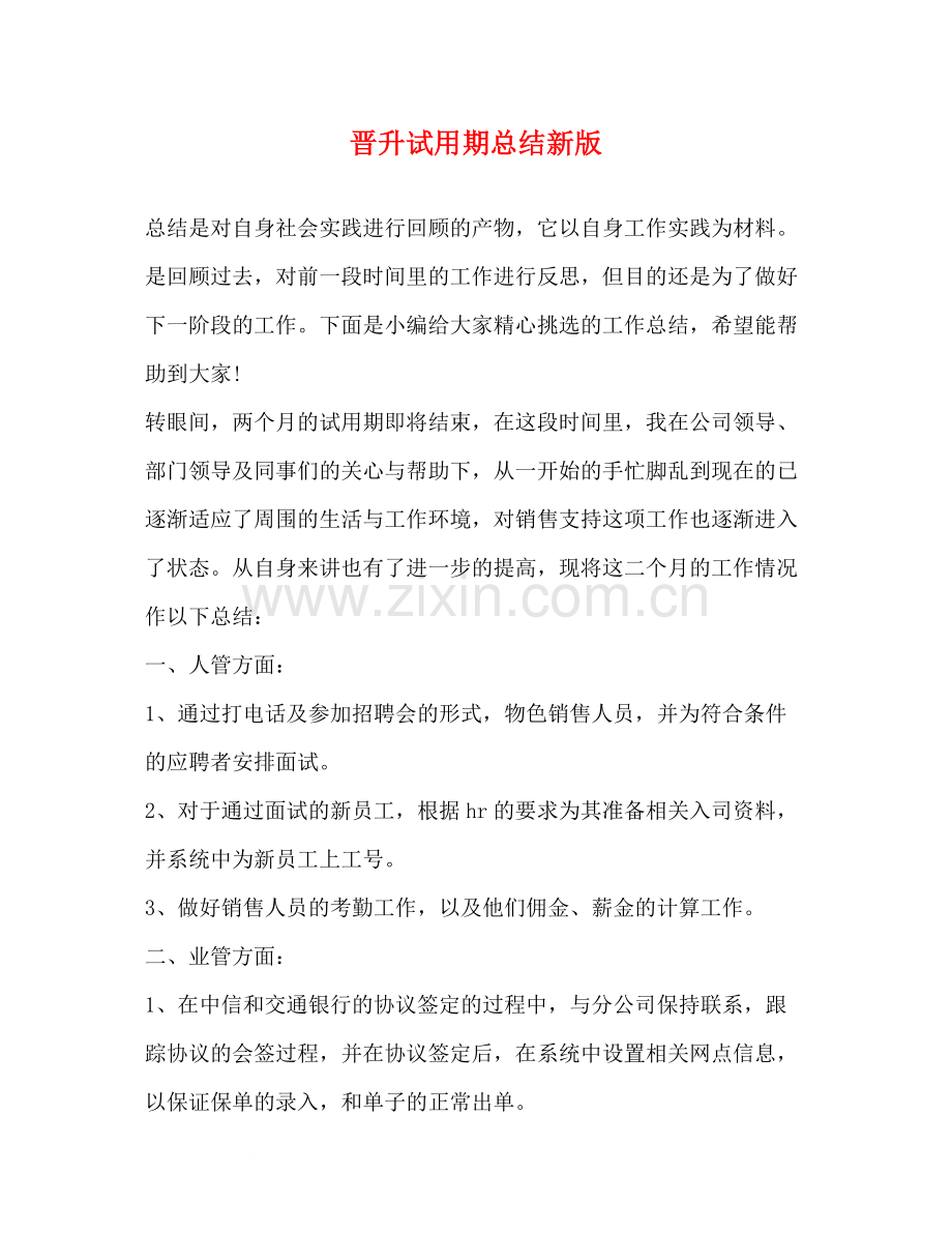 晋升试用期总结新版.docx_第1页