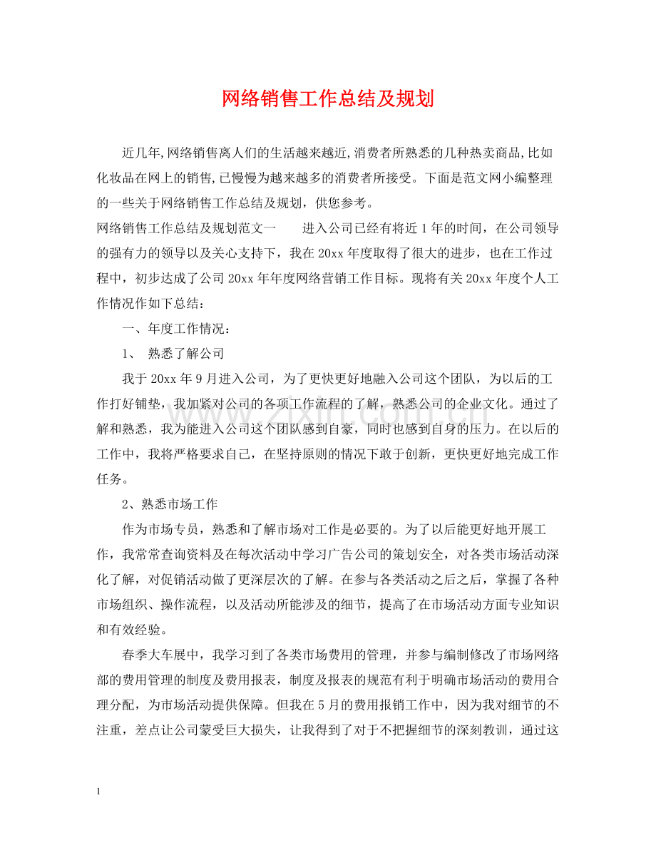 网络销售工作总结及规划.docx_第1页