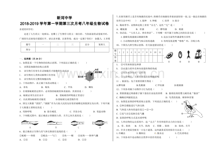 新河中学2018-2019学年第一学期八年级生物第三次月考试卷.doc_第1页