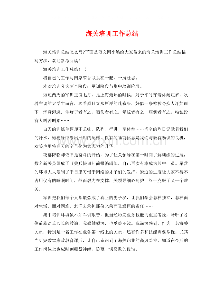 海关培训工作总结.docx_第1页