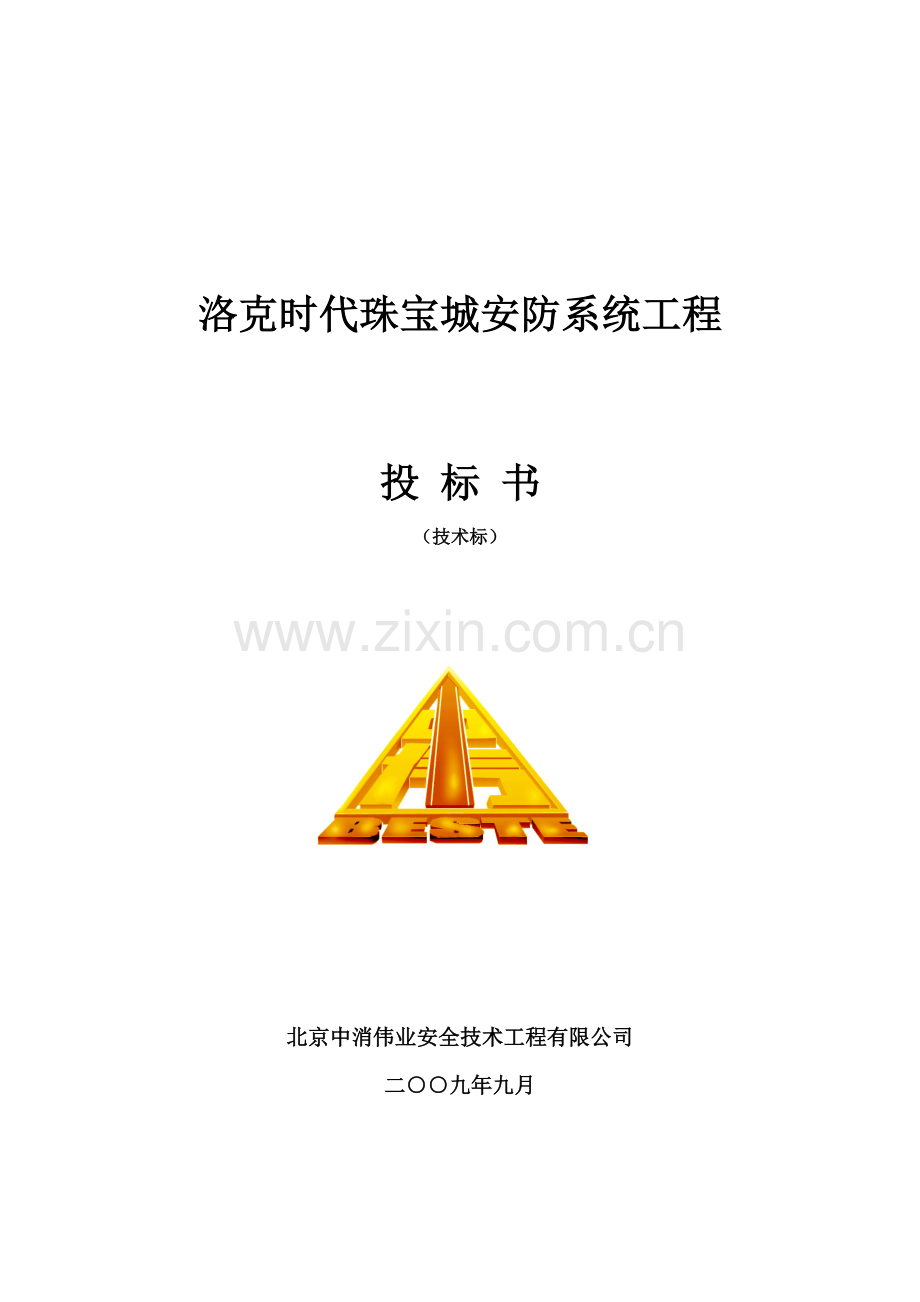 安防投标书(技术标).doc_第1页