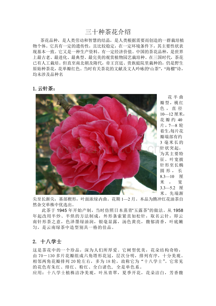 三十种茶花介绍.doc_第1页