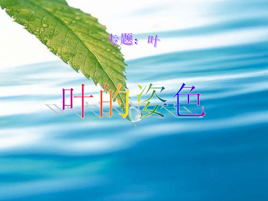 讲课用《专题：叶》优秀.ppt_第1页