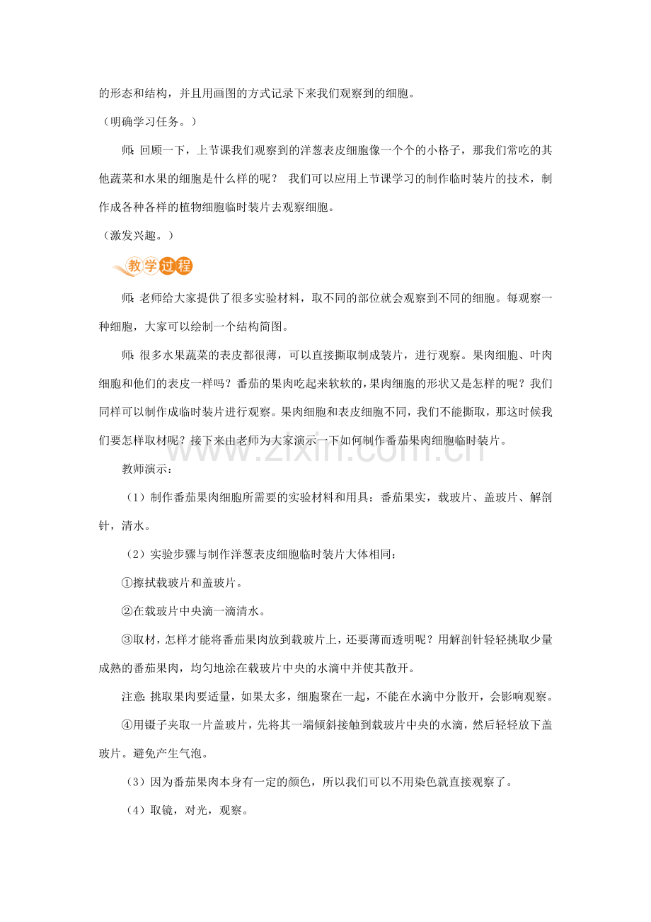 七年级生物上册 第二单元 生物体的结构层次 第一章 细胞是生命活动的基本单位 第二节 植物细胞（第2课时）教案 （新版）新人教版-（新版）新人教版初中七年级上册生物教案.doc_第2页