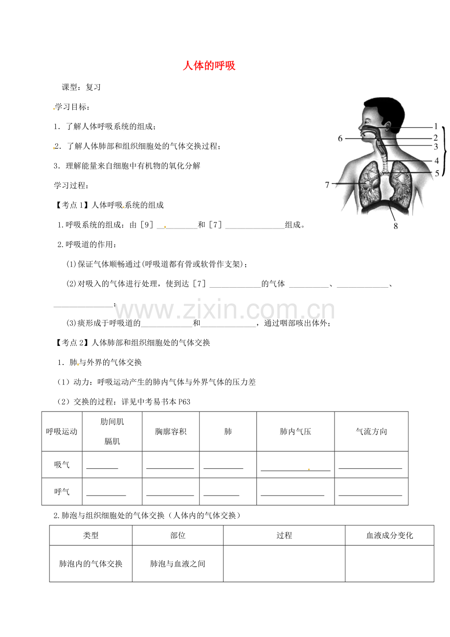 广东省河源市七年级生物下册 4.3人体的呼吸教案 （新版）新人教版-（新版）新人教版初中七年级下册生物教案.doc_第1页
