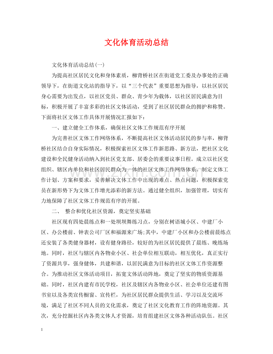 文化体育活动总结.docx_第1页
