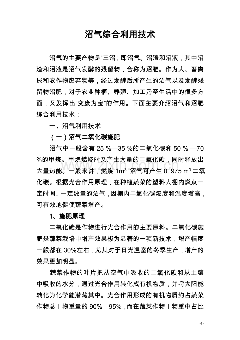 沼气综合利用.doc_第1页