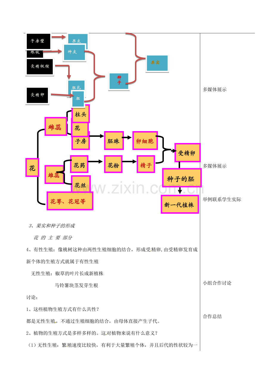 内蒙古包钢五中八年级生物上册《7.1.1 植物的生殖》教案 新人教版.doc_第2页