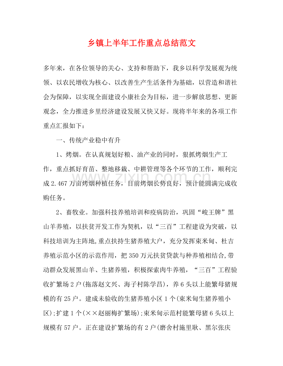乡镇上半年工作重点总结范文.docx_第1页