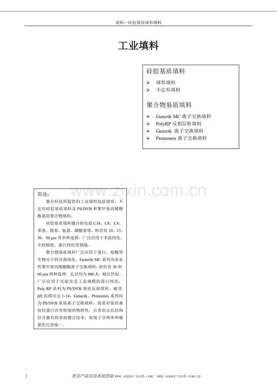 赛分科技-工业填料.doc_第1页