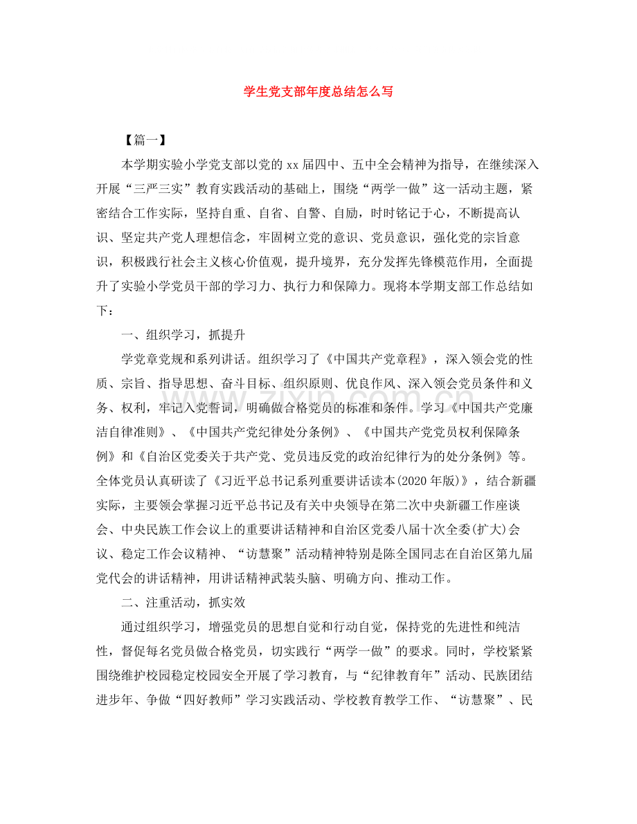 学生党支部年度总结怎么写.docx_第1页