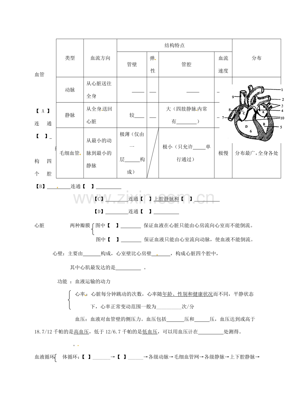 广东省河源市七年级生物下册 4.4人体内物质的运输教案 （新版）新人教版-（新版）新人教版初中七年级下册生物教案.doc_第2页
